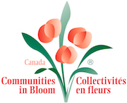 Communities in Bloom